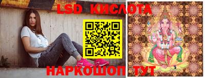 прущие грибы Бузулук