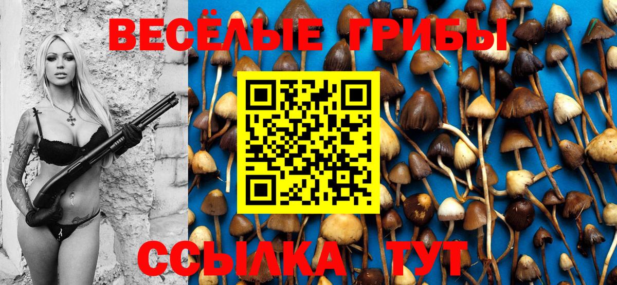 Псилоцибиновые грибы Cubensis  Вход с VPN  Губаха 
