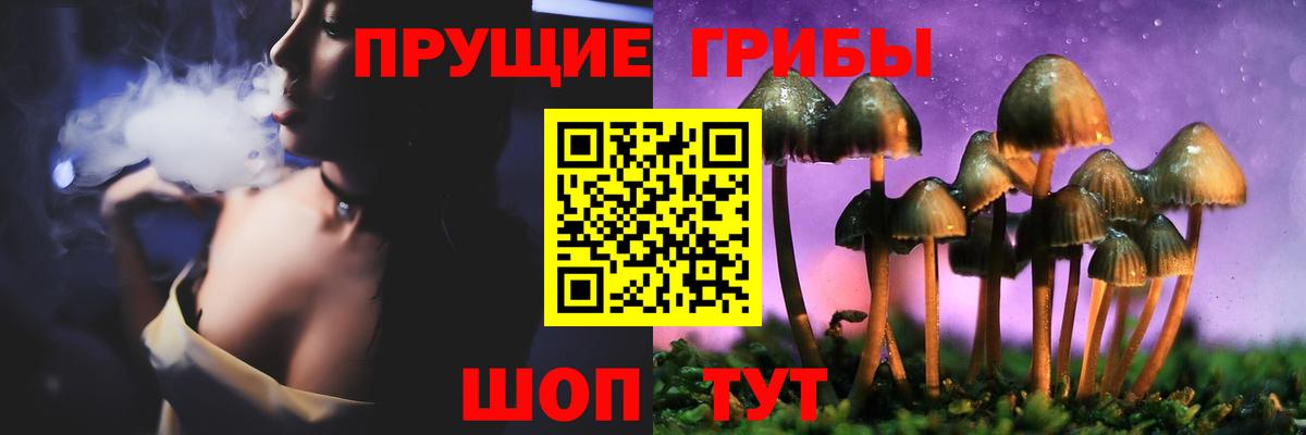 Галлюциногенные грибы ЛСД Губаха